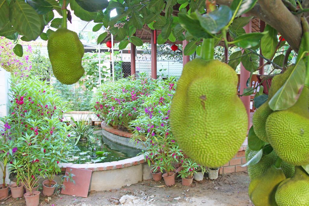 Countryside Garden Hoi An