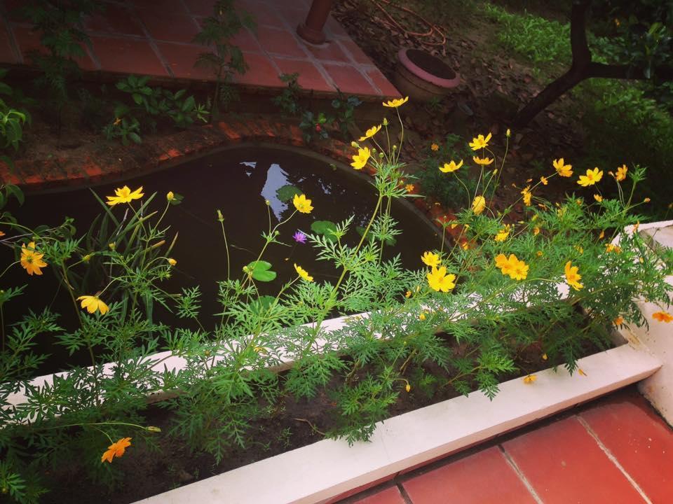 Countryside Garden Homestay