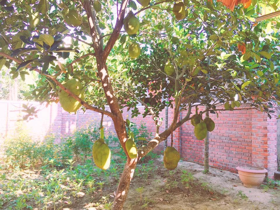Homestay Countryside Garden *