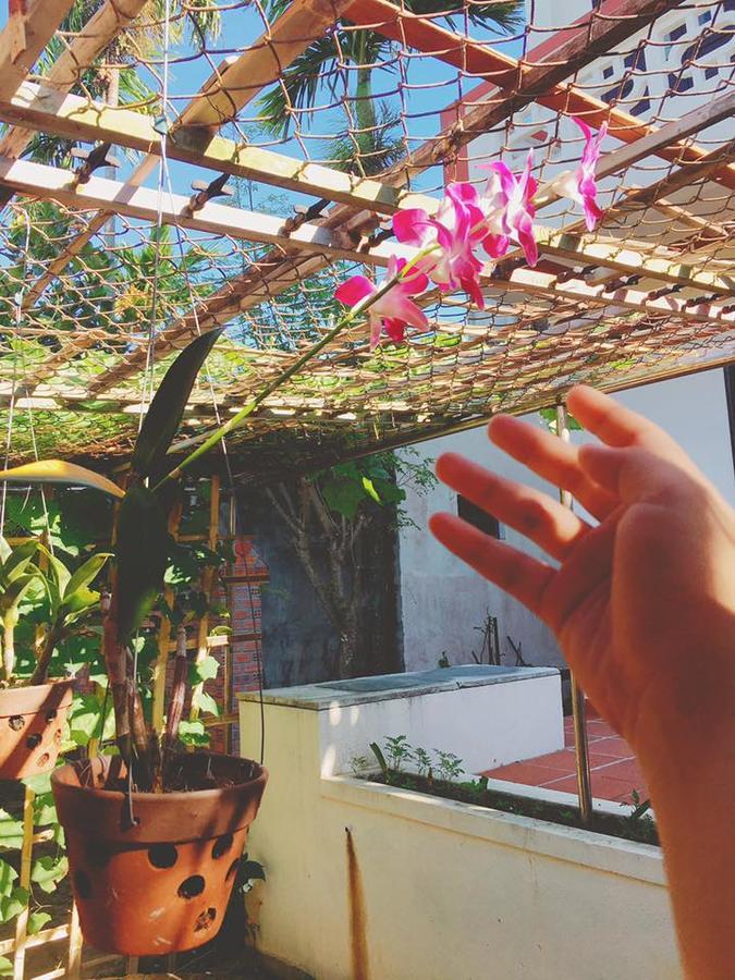 Countryside Garden Homestay